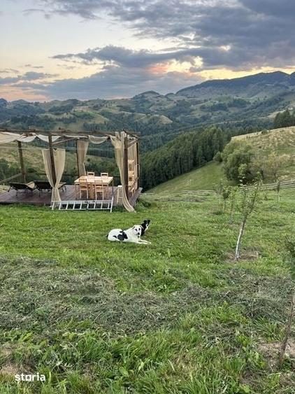 Teren de 110000 mp, în Peștera