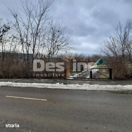 Teren de 10435 mp, în Stănilești