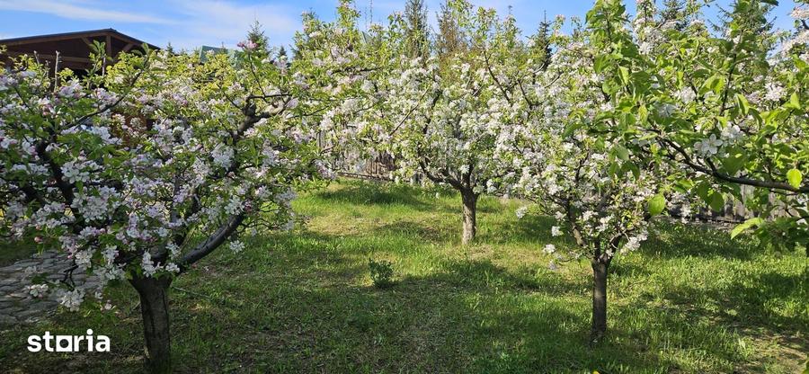 Teren de 1800 mp, în Mihai Eminescu