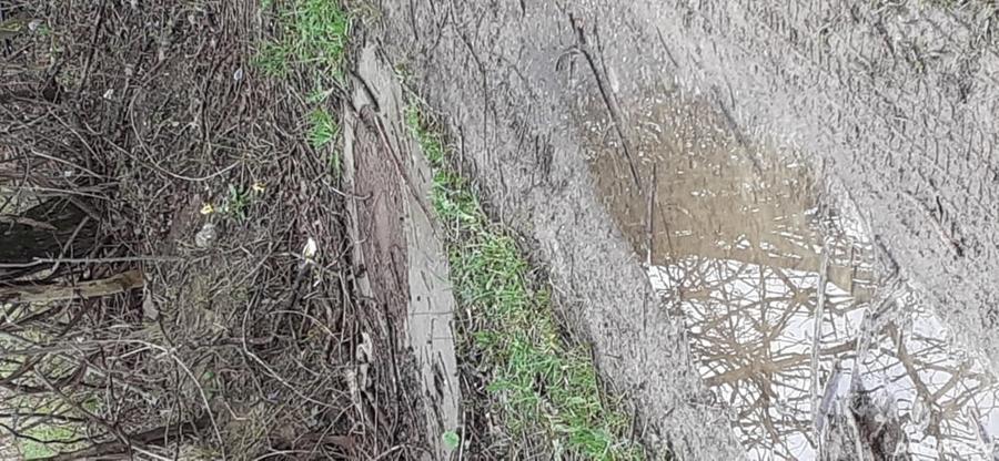 Teren de 600 mp, în Ghioșești