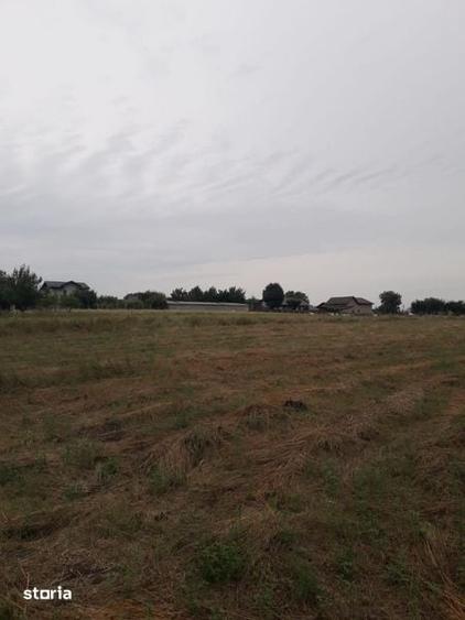 Vand teren Ciurbesti intre padure si case - 2
