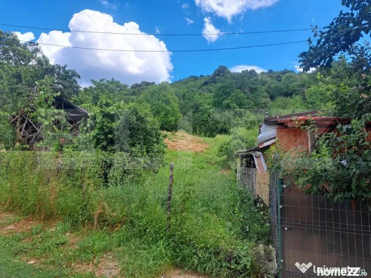 Teren de 3484 mp, în Viforâta