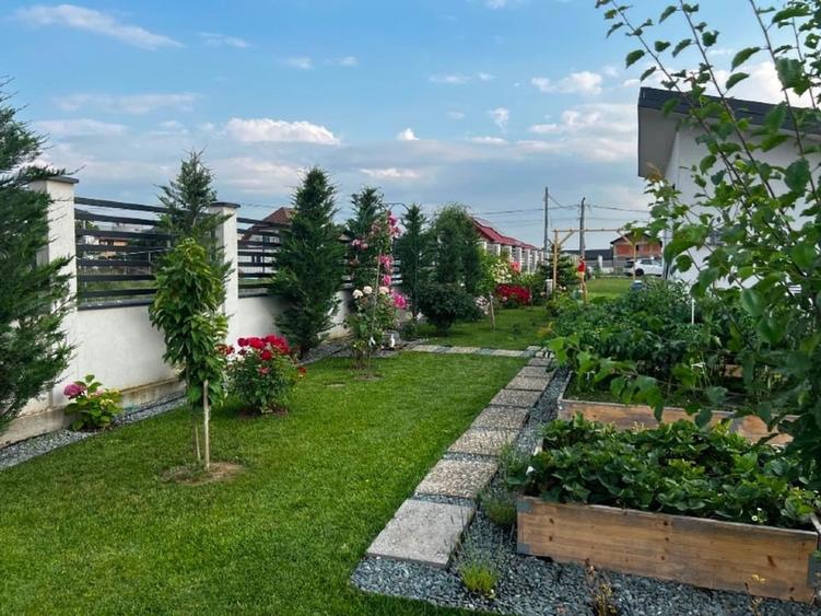 Teren Construcții intravilan de 1250 mp, în Domnești