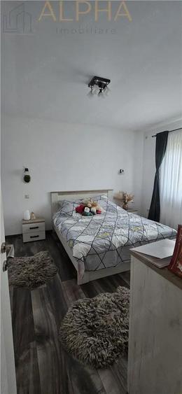 Casă cu Teren 1450 Mp în Viișoara