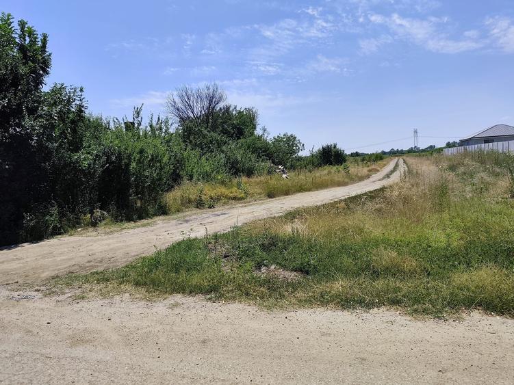 Teren Construcții intravilan de 5200 mp, în Săbăreni
