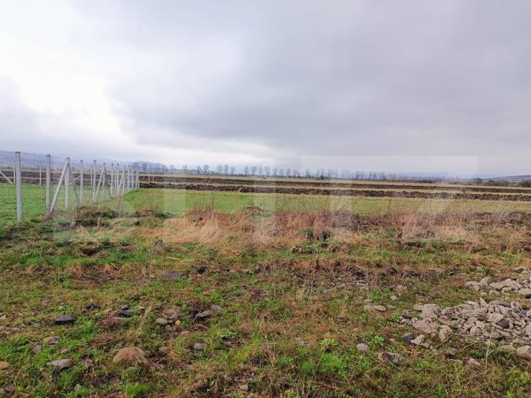 Teren agricol extravilan de 1000 mp, în Unirea