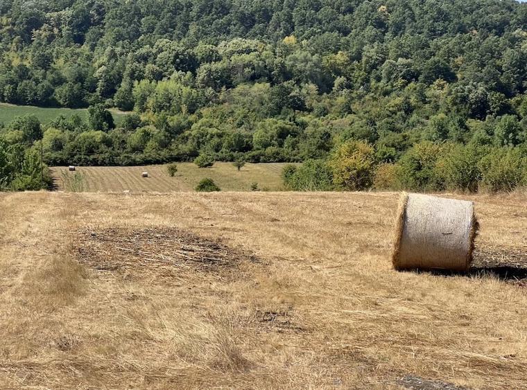 Teren de 1259 mp, în Buzad