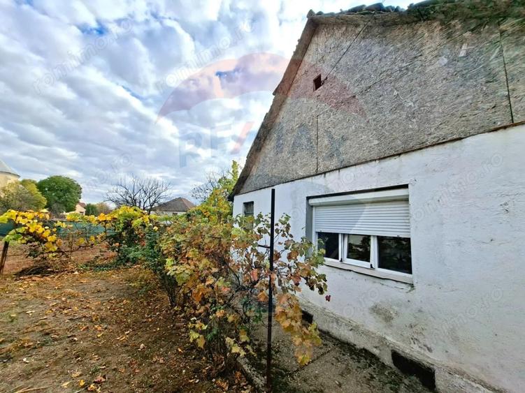 Casă cu 2 camere cu Teren 929 Mp în Vladimirescu