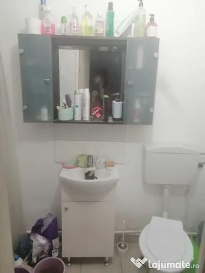 Casă cu 3 camere în Sânmihaiu Almașului