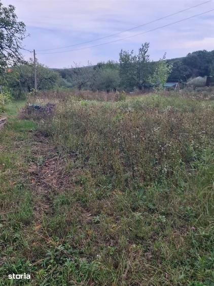 Teren de 818 mp, în Podgoria