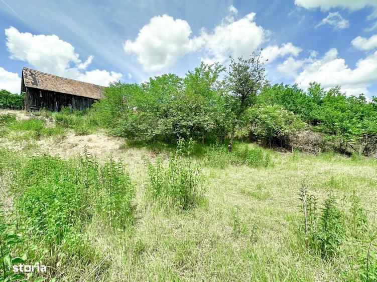Casă cu 2 camere cu Teren 1384 Mp în Alma