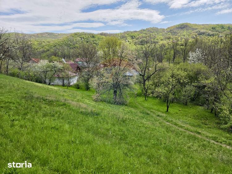 Teren de 4733 mp, în Drajna