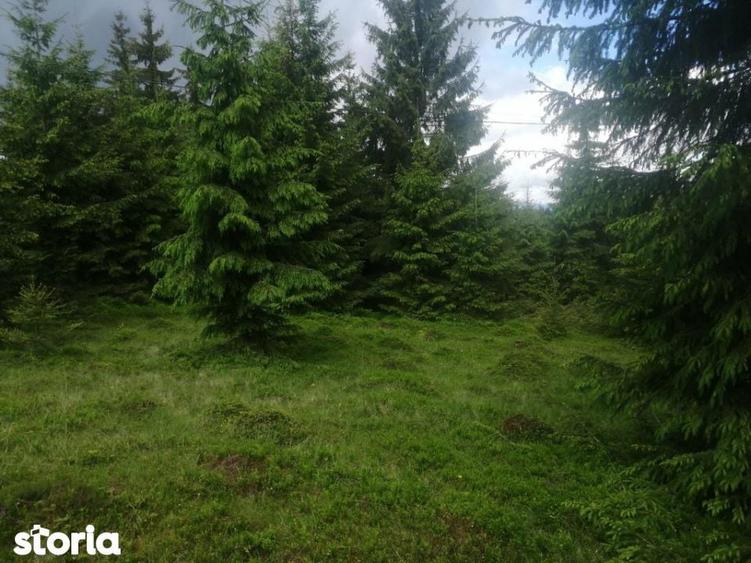Teren de 1300 mp, în Beliș