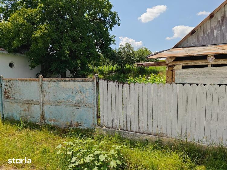 Teren de 5000 mp, în Horlești