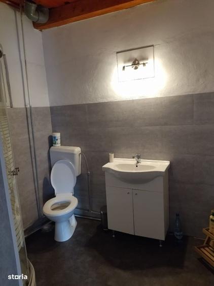 Casă cu 2 camere în Săcărâmb
