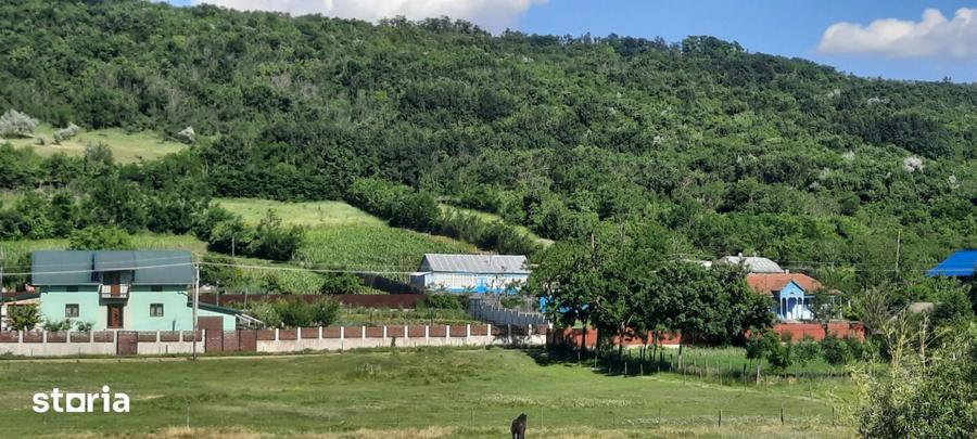 Casă cu 2 camere cu Teren 3000 Mp în Erbiceni