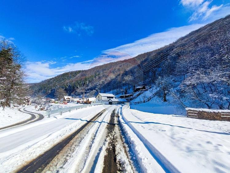 Teren Construcții intravilan de 583 mp, în Tilișca