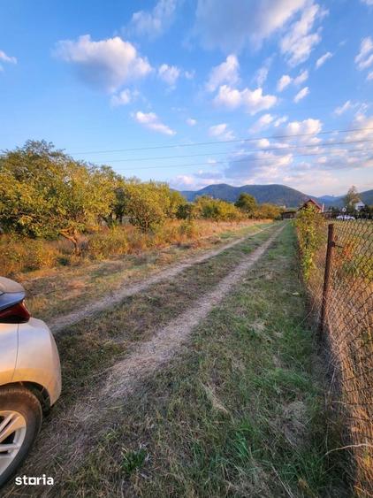 Teren de 8200 mp, în Alexandru cel Bun