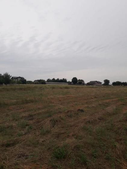 Teren de 3600 mp, în Dancaș