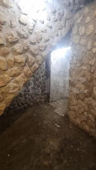 Casa plan parter cu beci - Lunca Cetatuii - 12