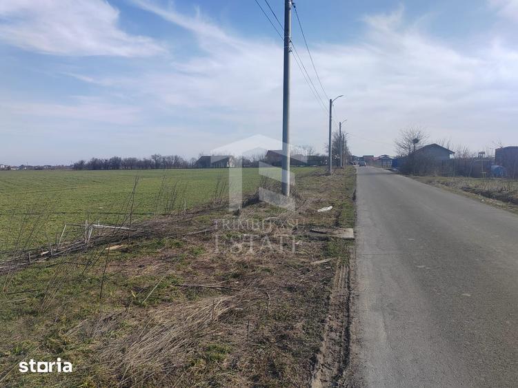 Teren de 8650 mp, în Cernica