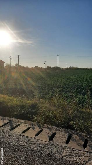 Teren de 2678 mp, în Remuș