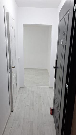Apartament cu 2 camere semidecomandat în Șagului