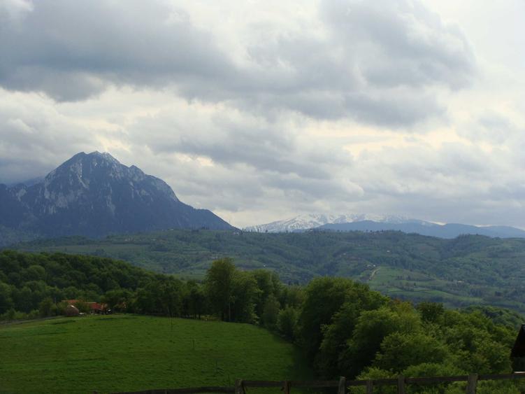 Teren cu PUZ, 11600mp, Brasov Poiana Marului, pe ruta via Transilvanica - 4