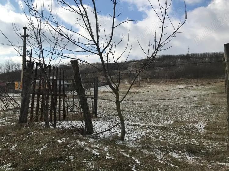 Teren de 4209 mp, în Strâmtura-Mitoc
