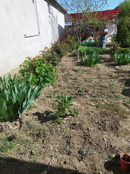 Casă cu 3 camere cu Teren 1500 Mp în Macea