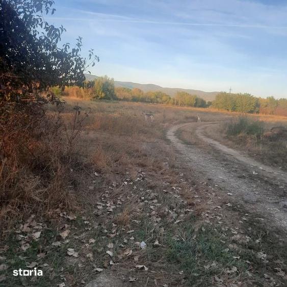 Teren de 7500 mp, în DHS