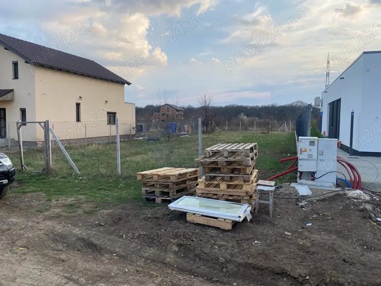 Proprietar, Padure-Dumbravita, 600mp, 80.000E - 1