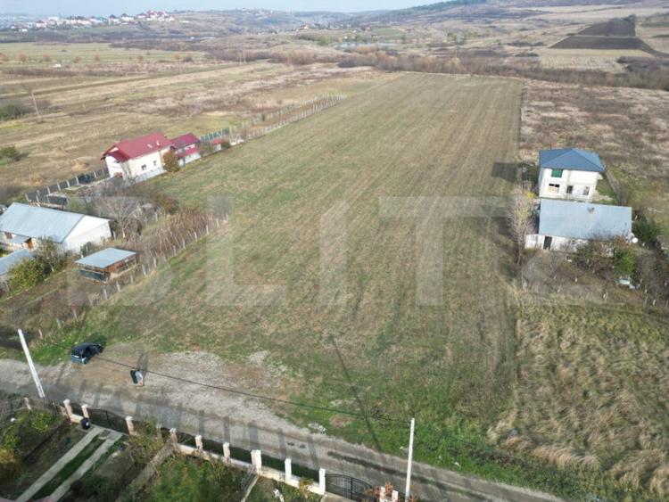 Teren, 5400 mp, Ciurea - 3