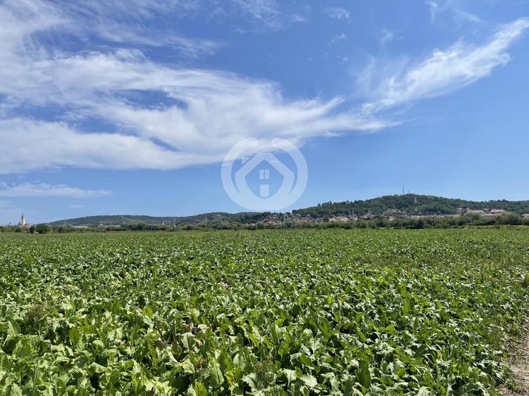 Teren agricol intravilan de 13700 mp, în Mediaș