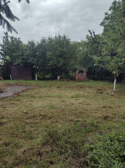 Vand teren in Bercu Rosu - 7