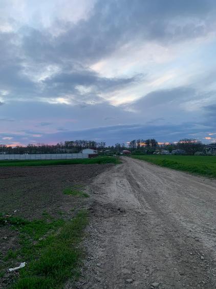 Teren Construcții intravilan de 1562 mp, în Afumați