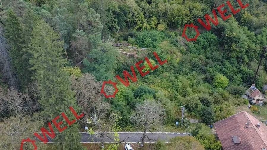 Teren Construcții intravilan de 2642 mp, în Vâlcele