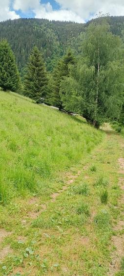 Teren de 500 mp, în Brădățel