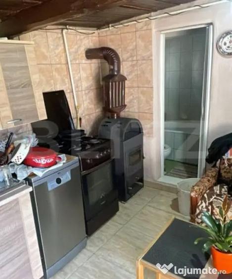 Casa cu 3 camere, 90 mp, 2 anexe gospodaresti si teren de 30 - 8