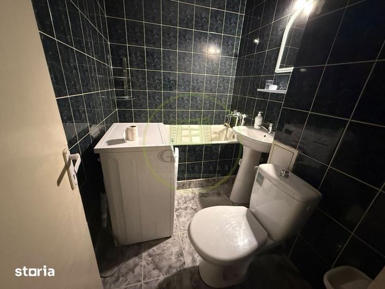 Garsonieră semidecomandată, mobilată în Brazda lui Novac