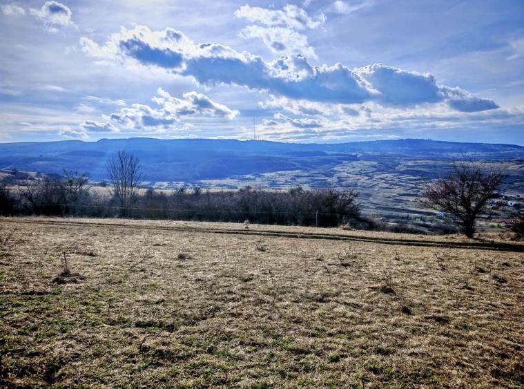 Teren Construcții intravilan de 17350 mp, în Borhanci