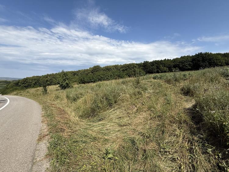 Teren Construcții intravilan de 6297 mp, în Mociu