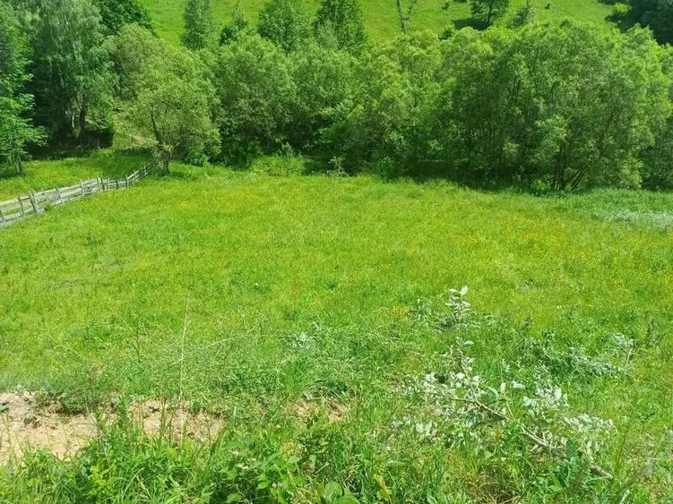 Teren de 3500 mp, în Muntele Băișorii