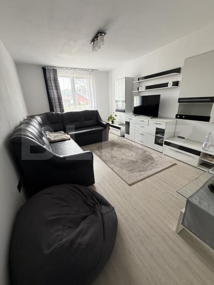 Apartament mobilat/utilat, 46 m2 - Lechinta - 2