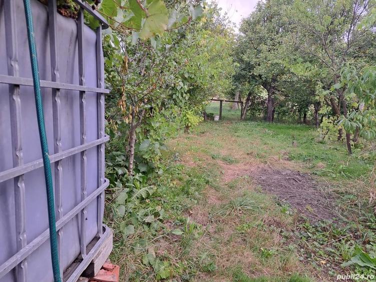 Casă cu 3 camere în Luncșoara