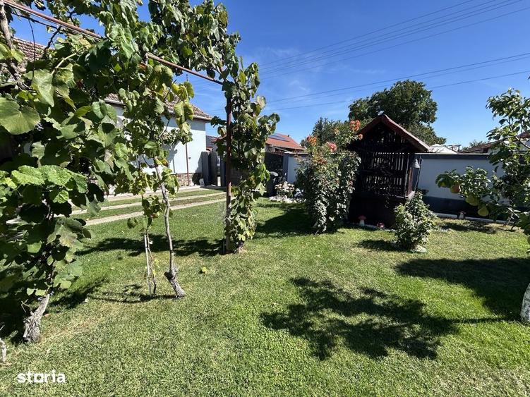 Casă cu 4 camere în Bodrogu Nou