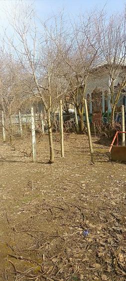 Casă cu 6 camere cu Teren 1600 Mp în Fântânele