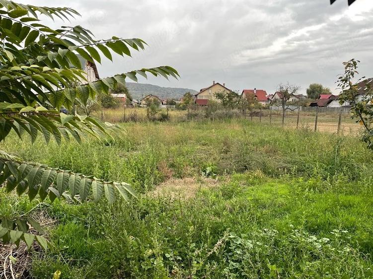 Teren de 3200 mp, în Ștefănești
