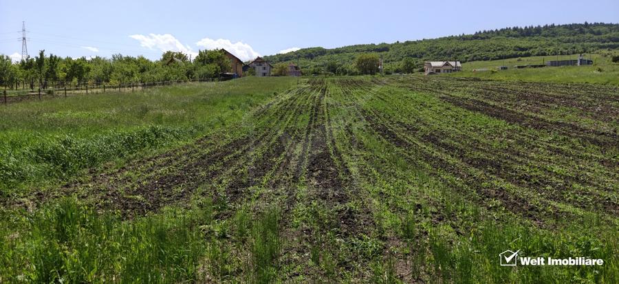 Teren Construcții intravilan de 2900 mp, în Vâlcele