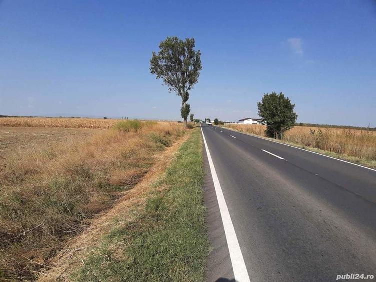 Teren de 5000 mp, în Central